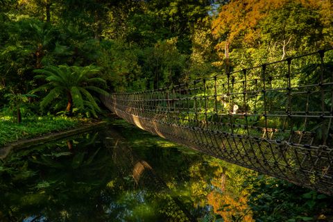 The full span of the rope bridge crossing a still pond, mirrored in the water, with visitors walking across at the far end.