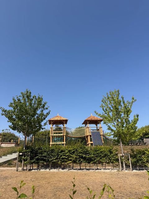 The two towers seen from across the school grounds, standing above a young hedge with trees either side.