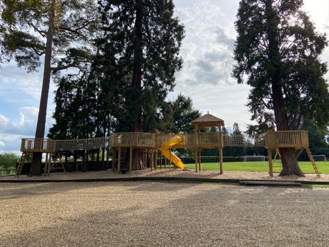The adventure trail seen across the school field, its towers and walkways running between tall conifers with a yellow spiral slide at the centre.