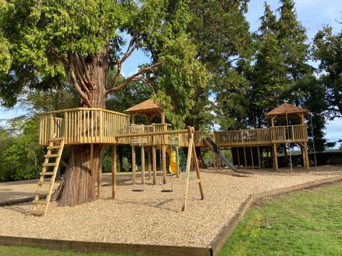 Raised timber walkway wrapping around the trunk of a large redwood, with a ladder up to the deck and a yellow spiral slide beyond.