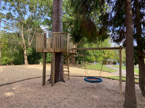 A circular deck built around a pine trunk, reached by a rope bridge, with a blue nest swing hanging from a timber frame beside it.