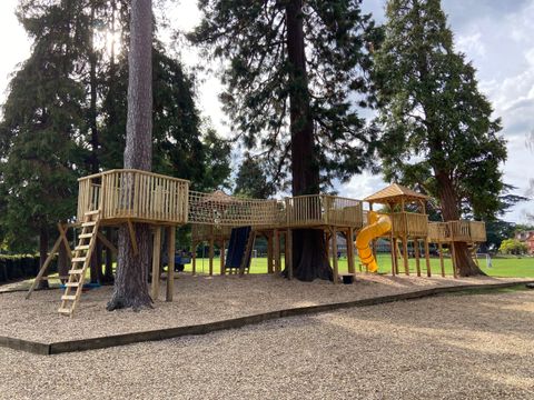 The full length of the trail seen from the side: five linked platforms threading between tree trunks, with a ladder at one end and a yellow spiral slide at the other.