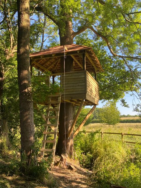Treehouses