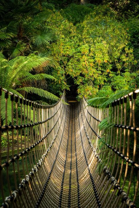 Bridges